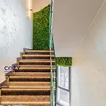 Cozy - Premium And