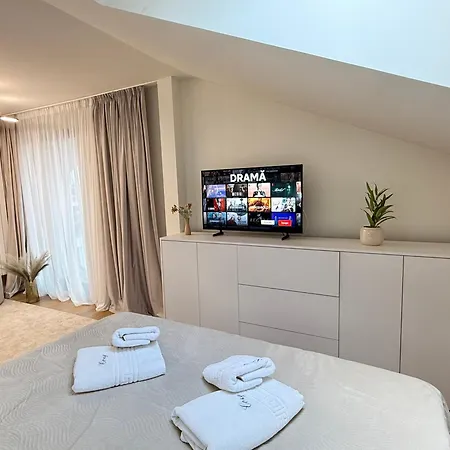 Cozy - Premium And Apartment Brasov