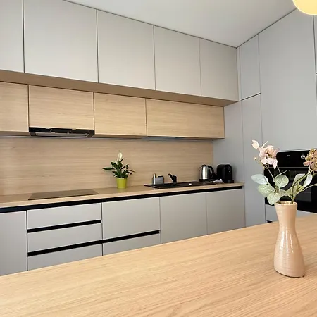 Brasov Aparthotel - Premium Suites And Studios Brassó