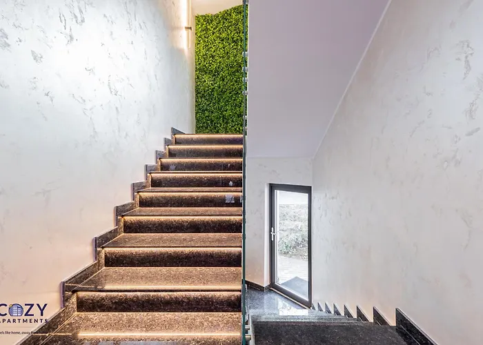 Apartment Cozy - Premium And Brasov