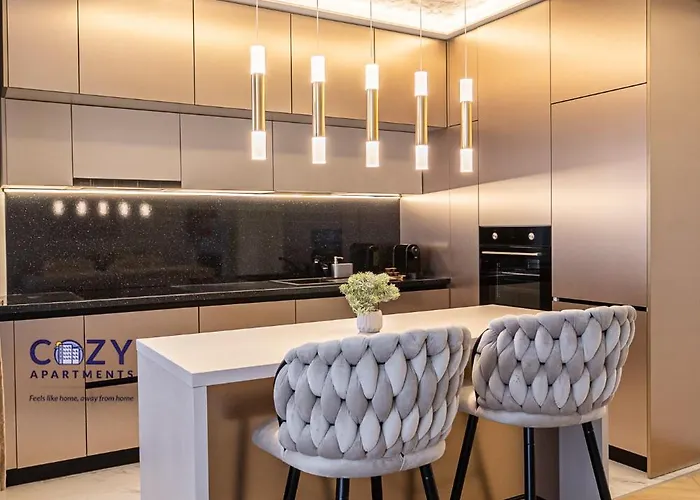 Cozy - Premium And 3* Brașov