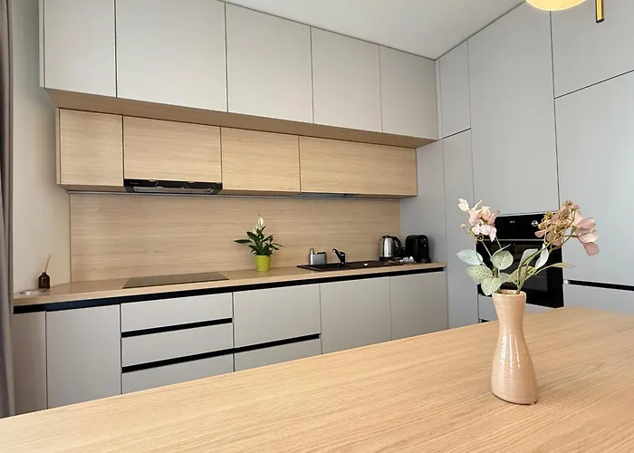 Cozy - Premium And Brașov